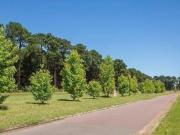 Terreno en venta en barrio Pinares Country Club,...