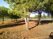 Terreno en Venta en Beas