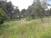 Terreno en venta en Begur