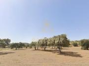 Terreno en venta en Bélmez, Doña rama