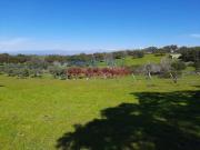 Terreno en Venta en Belvís de Monroy