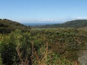 Terreno en Venta en Benahavís