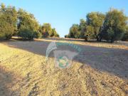 Terreno en Venta en Benamejí