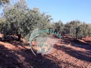 Terreno en Venta en Benamejí