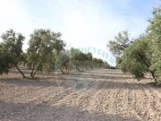 Terreno en Venta en Benamejí