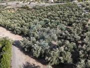 Terreno en Venta en Benamejí