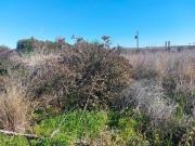 Terreno en Venta en Beniarbeig