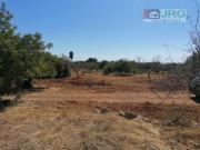 Terreno en Venta en Benicarló