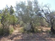 Terreno en Venta en Benicarló