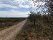 Terreno en Venta en Benicarló