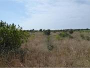 Terreno en Venta en Benicarló