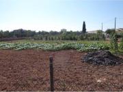 Terreno en Venta en Benicarló