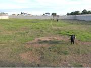 Terreno en Venta en Benicarló