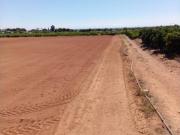 Terreno en Venta en Benicarló