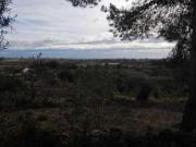 Terreno en venta en Benicarló, CORRAL DEL PITIQUILLO