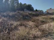 Terreno en Venta en Caravaca de La Cruz