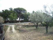Terreno en Venta en Benimantell