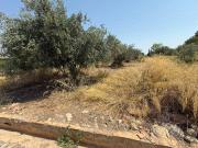 Terreno en Venta en Benissanó