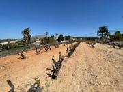 Terreno en Venta en Benitachell El Poble Nou de Benitatxell