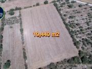 Terreno en Venta en Benito Juárez, Camino a Ajacuba, Hidalgo