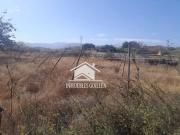 Terreno en Venta en Berja