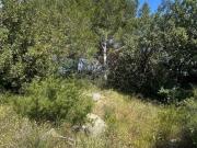 Terreno en Venta en Bétera Terreno en Venta en Bétera