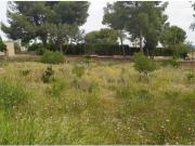 Terreno en Venta en Bétera