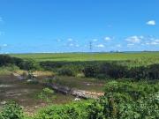 Terreno en Venta en Blvd Colosio Cancun