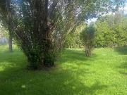 Terreno en Venta en Boadilla del Monte