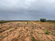 Terreno en Venta en Bollullos Par del Condado