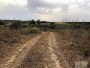 Terreno en Venta en Bollullos Par del Condado