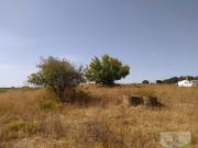 Terreno en Venta en Bollullos Par del Condado