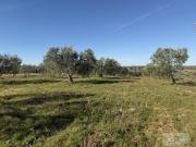 Terreno en venta en Bollullos par del Condado, BOLLULLOS...