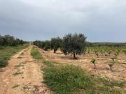 Terreno en venta en Bollullos par del Condado, Periferia