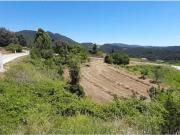 Terreno en Venta en Borredà