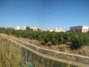 Terreno en Venta en Borriana Burriana