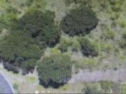 TERRENO EN VENTA EN BOSQUE REAL