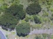 TERRENO EN VENTA EN BOSQUE REAL