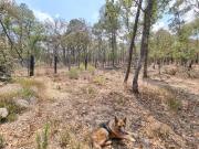 TERRENO EN VENTA EN BOSQUE REAL HUASCA DE OCAMPO