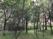 Terreno en venta en Bosque Real, Huixquilucan, Estado De...