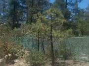 TERRENO EN VENTA EN BOSQUES DE MONTERREAL