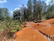 Terreno en Venta en Bosques de Niebla, San Cristóbal de...