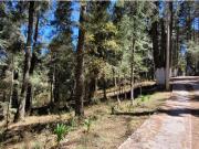 Terreno en venta en Bosques de San Cayetano, Mineral del...