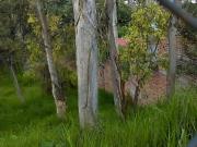 Terreno en venta en Bosques del Lago Cuautitlàn Izcalli...