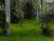 Terreno en venta en Bosques del Lago Cuautitlàn Izcalli...