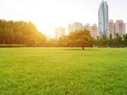 Terreno en Venta en Boulevard Bosque Real,Palo Solo RU...
