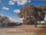 Terreno en Venta en Buenavista