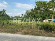 Terreno en Venta en Buenavista 2da Sección 4