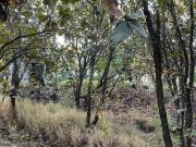 TERRENO EN VENTA EN BUGAMBILIAS 2DA. SECCION