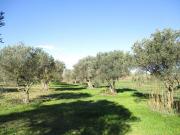 Terreno en venta en Cabanes Girona, de 3.500 m² por 30.000